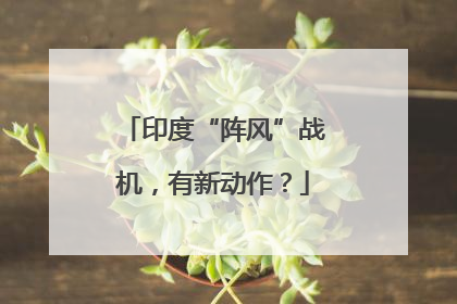 印度“阵风”战机，有新动作？