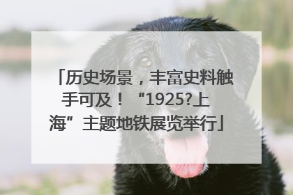历史场景，丰富史料触手可及！“1925?上海”主题地铁展览举行
