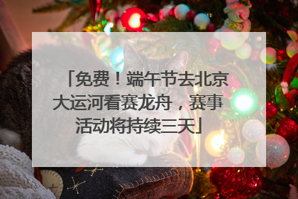 免费！端午节去北京大运河看赛龙舟，赛事活动将持续三天