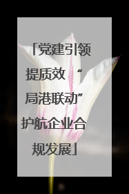 党建引领提质效 “局港联动”护航企业合规发展