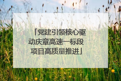 党建引领核心驱动庆章高速一标段项目高质量推进