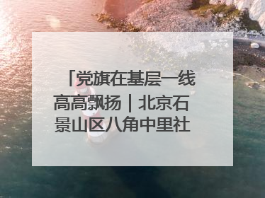 党旗在基层一线高高飘扬｜北京石景山区八角中里社区党委：用脚步丈量民生