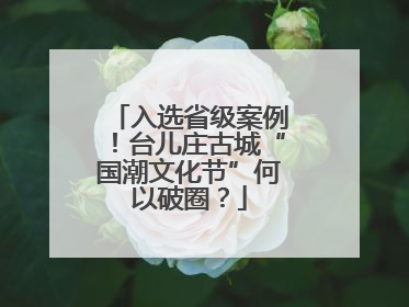 入选省级案例！台儿庄古城“国潮文化节”何以破圈？