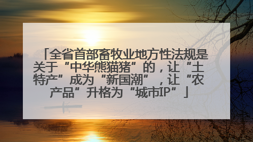 全省首部畜牧业地方性法规是关于“中华熊猫猪”的，让“土特产”成为“新国潮”，让“农产品”升格为“城市IP”