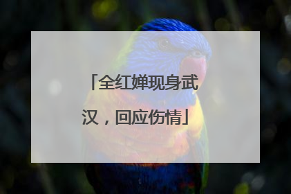 全红婵现身武汉，回应伤情