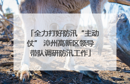 全力打好防汛“主动仗” 漳州高新区领导带队调研防汛工作