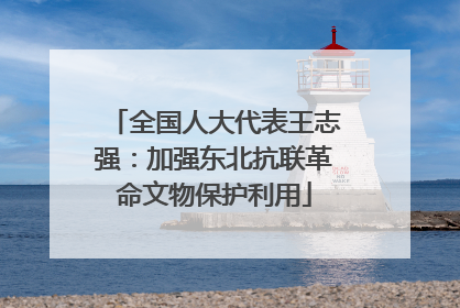 全国人大代表王志强：加强东北抗联革命文物保护利用