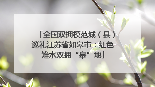全国双拥模范城（县）巡礼江苏省如皋市：红色雉水双拥“皋”地