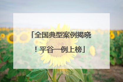全国典型案例揭晓！平谷一例上榜