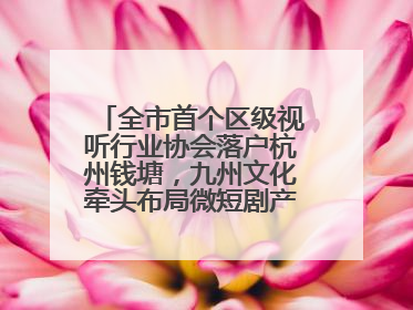 全市首个区级视听行业协会落户杭州钱塘，九州文化牵头布局微短剧产业高地