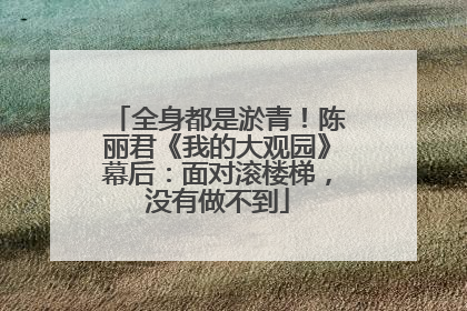 全身都是淤青！陈丽君《我的大观园》幕后：面对滚楼梯，没有做不到