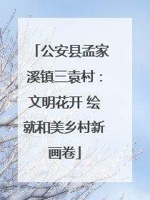 公安县孟家溪镇三袁村：文明花开 绘就和美乡村新画卷