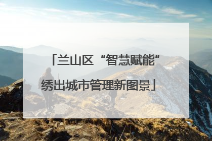兰山区“智慧赋能”绣出城市管理新图景