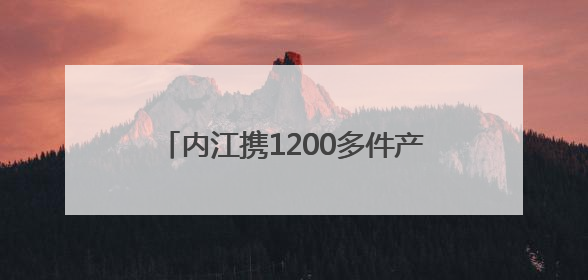 内江携1200多件产品参展西博会：“内江号”卫星模型首次亮相