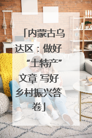 内蒙古乌达区：做好“土特产”文章 写好乡村振兴答卷