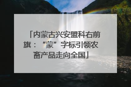 内蒙古兴安盟科右前旗：“蒙”字标引领农畜产品走向全国