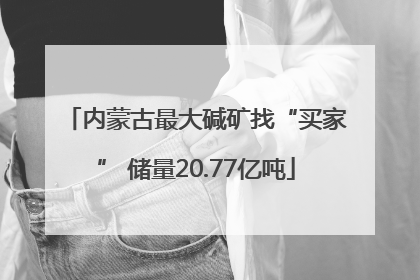 内蒙古最大碱矿找“买家” 储量20.77亿吨