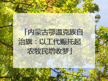内蒙古鄂温克族自治旗：以工代赈托起农牧民增收梦