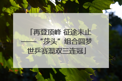 再登顶峰 征途未止——“莎头”组合圆梦世乒赛混双三连冠