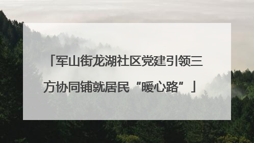 军山街龙湖社区党建引领三方协同铺就居民“暖心路”