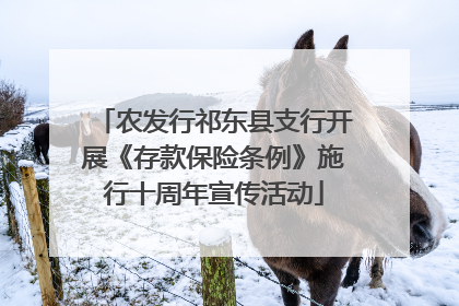 农发行祁东县支行开展《存款保险条例》施行十周年宣传活动