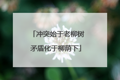冲突始于老柳树 矛盾化于柳荫下