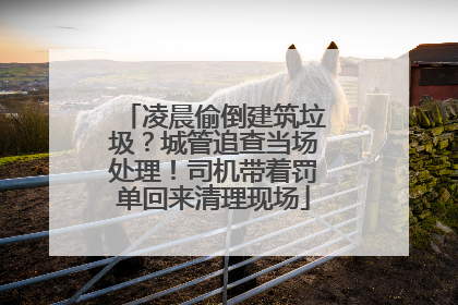 凌晨偷倒建筑垃圾？城管追查当场处理！司机带着罚单回来清理现场