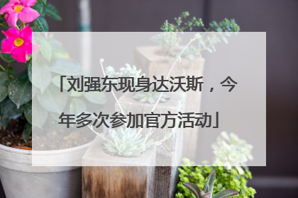 刘强东现身达沃斯，今年多次参加官方活动