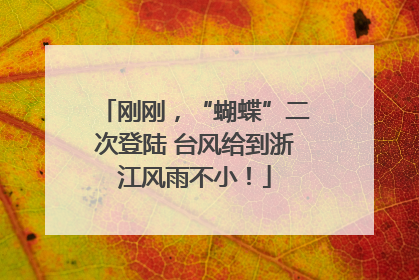 刚刚，“蝴蝶”二次登陆 台风给到浙江风雨不小！