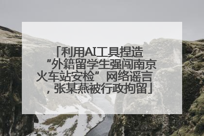 利用AI工具捏造 “外籍留学生强闯南京火车站安检”网络谣言，张某燕被行政拘留