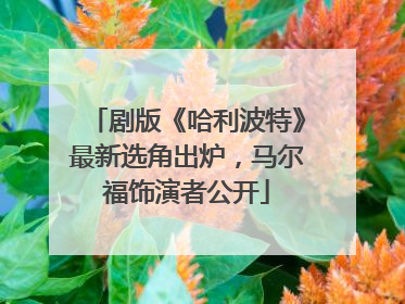 剧版《哈利波特》最新选角出炉，马尔福饰演者公开