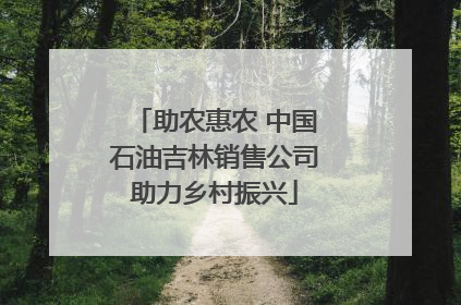 助农惠农 中国石油吉林销售公司助力乡村振兴