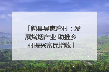 勉县吴家湾村：发展烤烟产业 助推乡村振兴富民增收