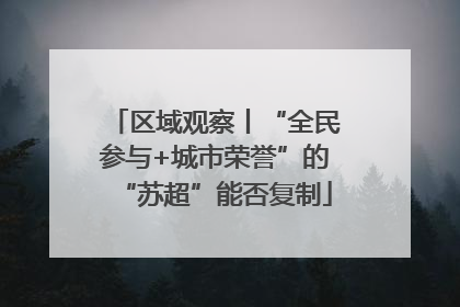 区域观察丨“全民参与+城市荣誉”的“苏超”能否复制