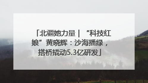 北疆她力量｜“科技红娘”黄晓辉：沙海播绿，搭桥撬动5.3亿研发