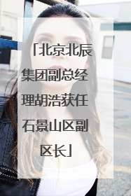 北京北辰集团副总经理胡浩获任石景山区副区长