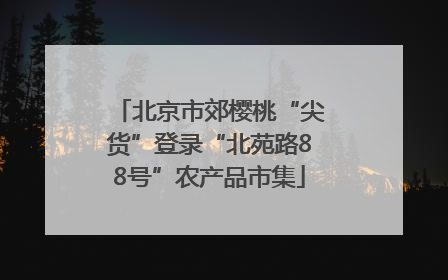 北京市郊樱桃“尖货”登录“北苑路88号”农产品市集