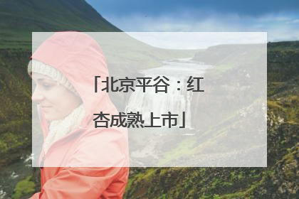 北京平谷：红杏成熟上市