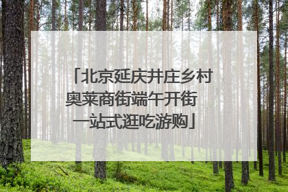 北京延庆井庄乡村奥莱商街端午开街 一站式逛吃游购