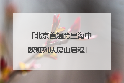 北京首趟跨里海中欧班列从房山启程