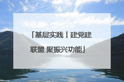 基层实践丨建党建联盟 聚振兴功能