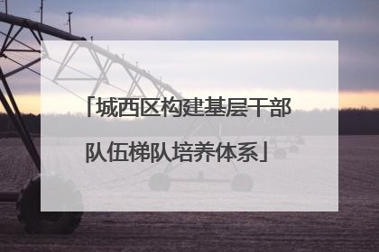 城西区构建基层干部队伍梯队培养体系