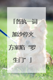各执一词 加沙停火方案陷“罗生门”