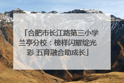 合肥市长江路第三小学兰亭分校：榜样闪耀绽光彩 五育融合助成长