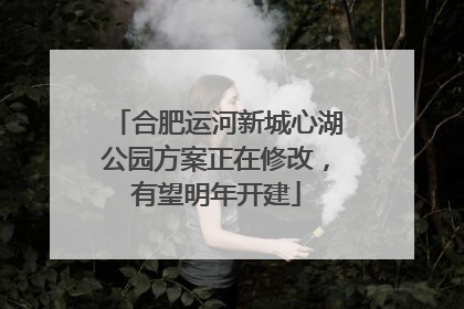合肥运河新城心湖公园方案正在修改，有望明年开建