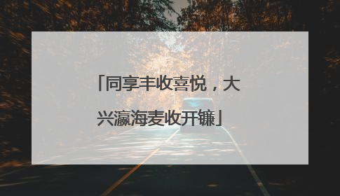同享丰收喜悦，大兴瀛海麦收开镰