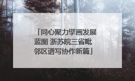同心聚力擘画发展蓝图 浙苏皖三省毗邻区谱写协作新篇