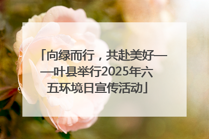 向绿而行，共赴美好——叶县举行2025年六五环境日宣传活动