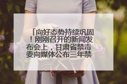 向好态势持续巩固！刚刚召开的新闻发布会上，甘肃省禁毒委向媒体公布三年禁毒工作“成绩单”