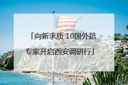 向新求质 10国外籍专家开启西安调研行